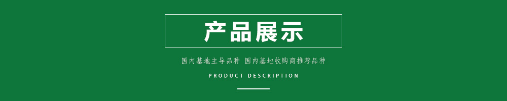 1557817385705900.jpg 00新產(chǎn)品.jpg