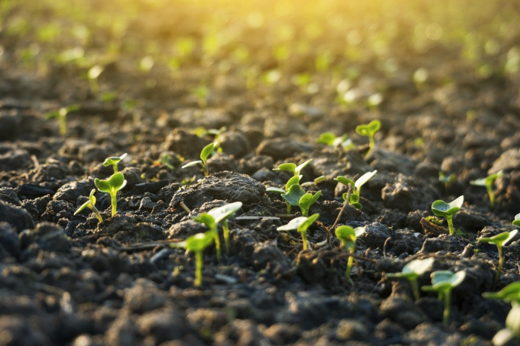 1608457560147793.jpg 微信圖片_20201220174255.jpg