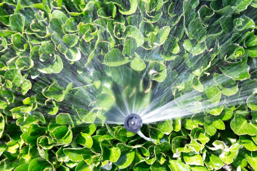 1608457744167570.jpg 微信圖片_20201220174604.jpg