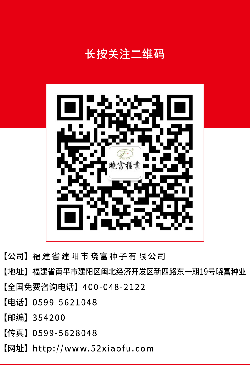 1608458863285220.jpg 頁底.jpg